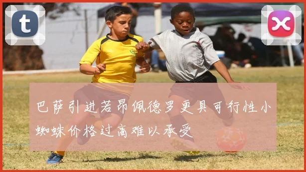 巴萨引进若昂佩德罗更具可行性小蜘蛛价格过高难以承受