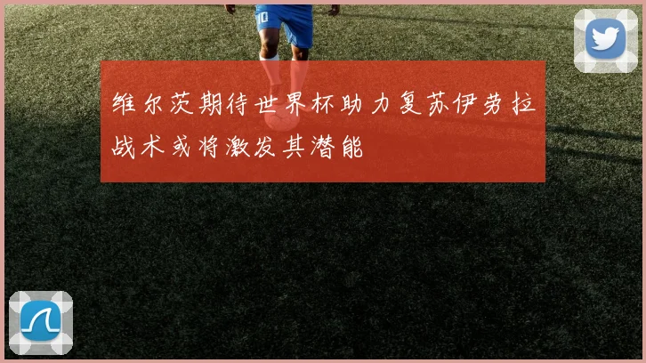维尔茨期待世界杯助力复苏伊劳拉战术或将激发其潜能